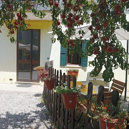 Appartamento Malcontenta Мира Экстерьер фото